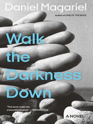 cover image of Walk the Darkness Down